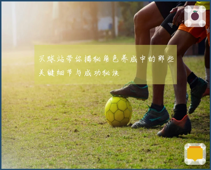 买球站带你揭秘角色养成中的那些关键细节与成功秘诀